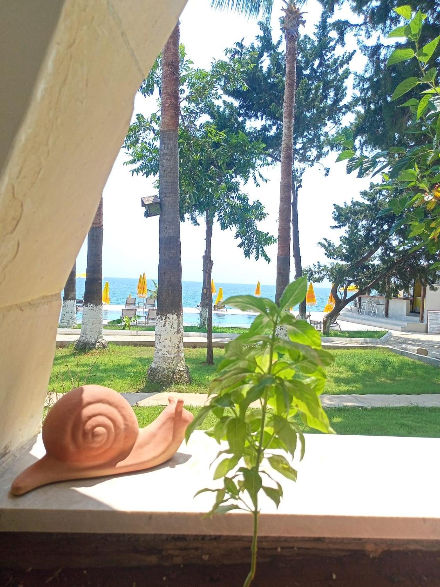 Casalita Hotel كوزكليسِ المظهر الخارجي الصورة